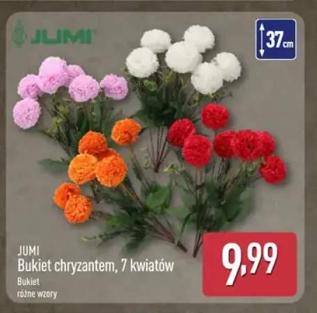 Bukiet chryzantem 7 kwiatów Jumi