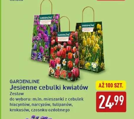 Jesienne cebulki kwiatów Gardenline zestaw