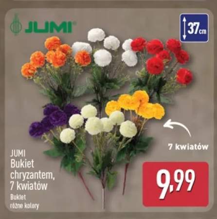 Bukiet chryzantem 7 kwiatów Jumi
