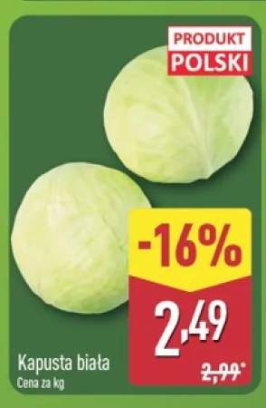 Kapusta biała