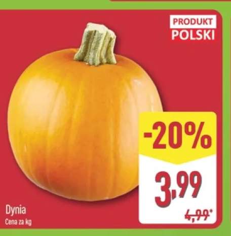 Dynia