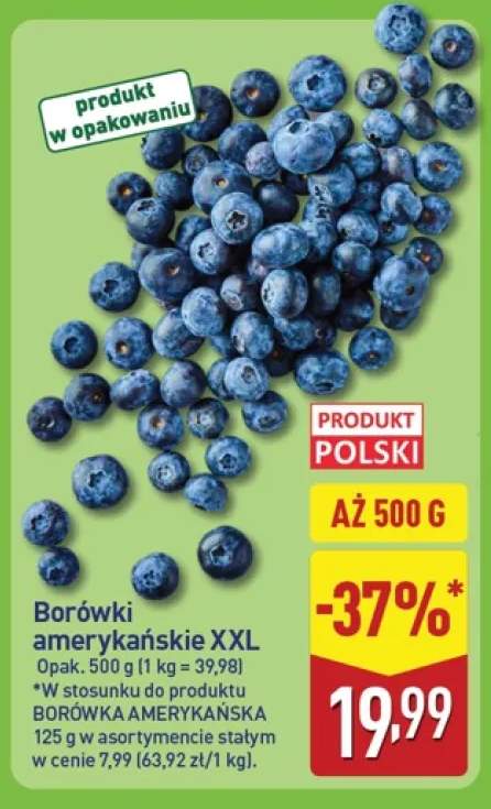 Borówki amerykańskie XXL