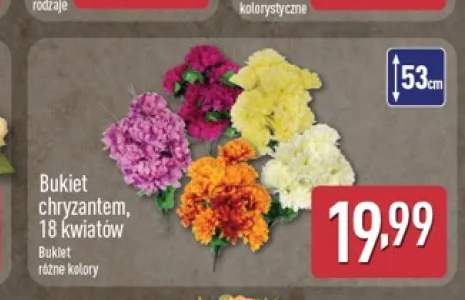 Bukiet chryzantem 18 kwiatów