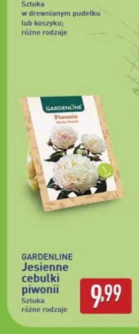 Jesienne cebulki piwonii Gardenline