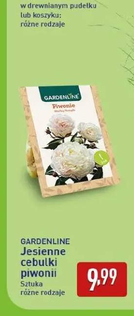 Jesienne cebulki piwonii Gardenline