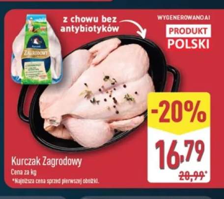Kurczak