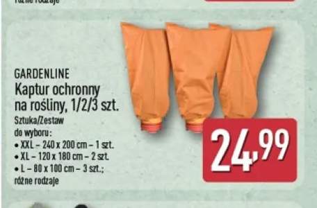 Kaptur ochronny na rośliny Xxl 240x200 cm Gardenline +2 warianty