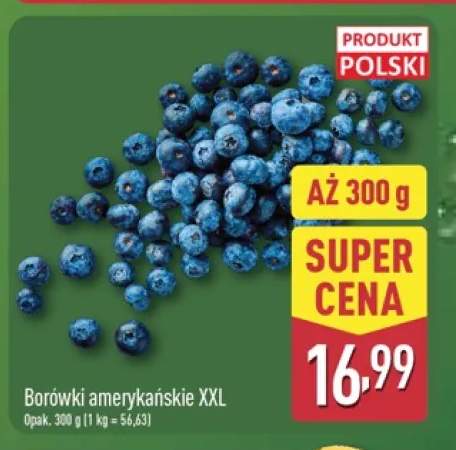 Borówki amerykańskie XXL