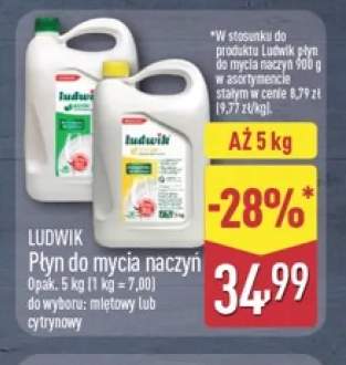 Płyn do mycia naczyń miętowy Ludwik +1 wariant