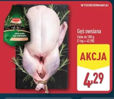 Gęś owsiana Drosed