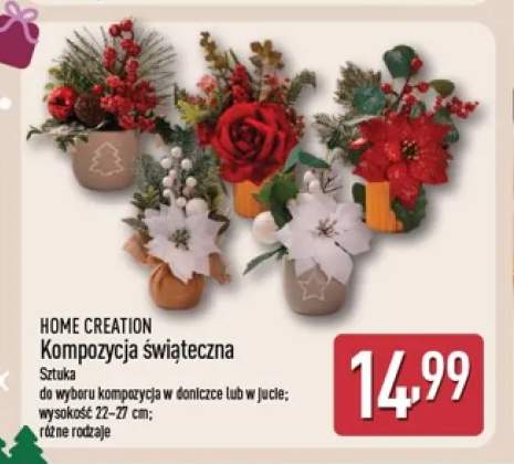 Kompozycja świąteczna w doniczce Home Creation +1 wariant
