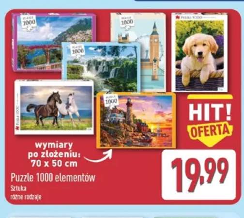 Puzzle 1000 elementów