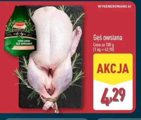Gęś owsiana Drosed