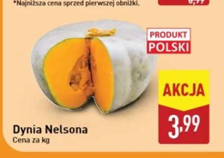 Dynia Nelsona