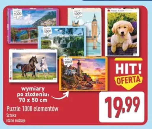 Puzzle 1000 elementów