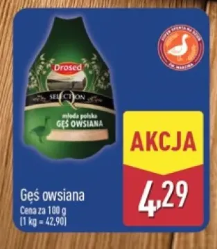 Gęś owsiana Drosed