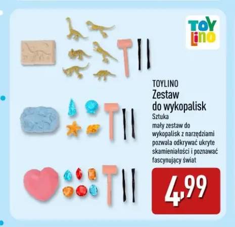 Zestaw do wykopalisk Toylino