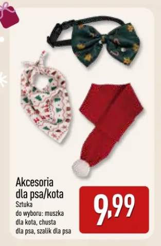 Muszka dla kota +2 warianty
