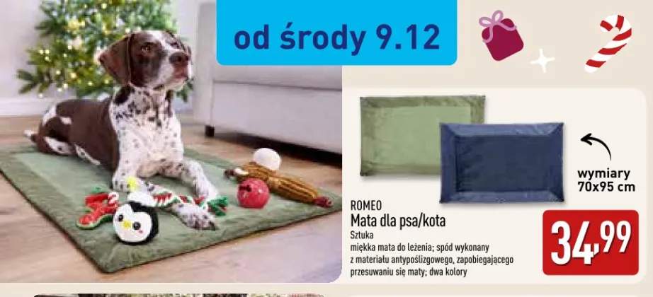Mata dla psa lub kota 70x95 cm Romeo