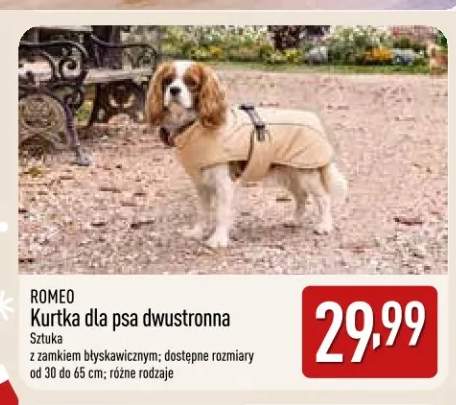 Kurtka dla psa dwustronna Romeo