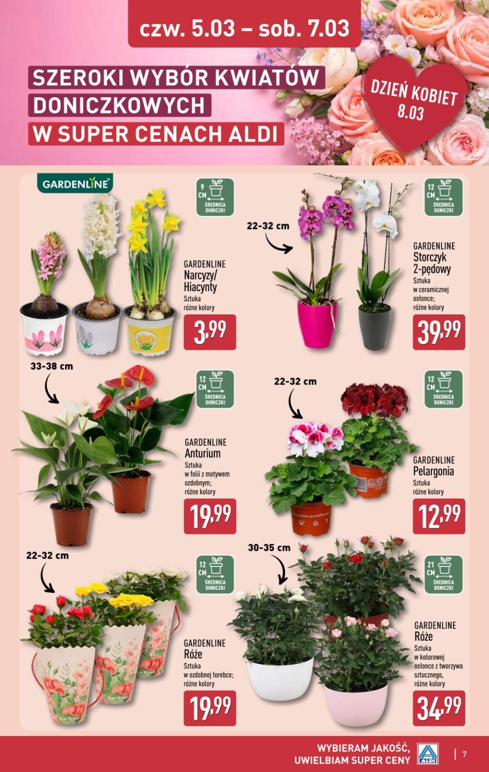 Gazetka – strona 7