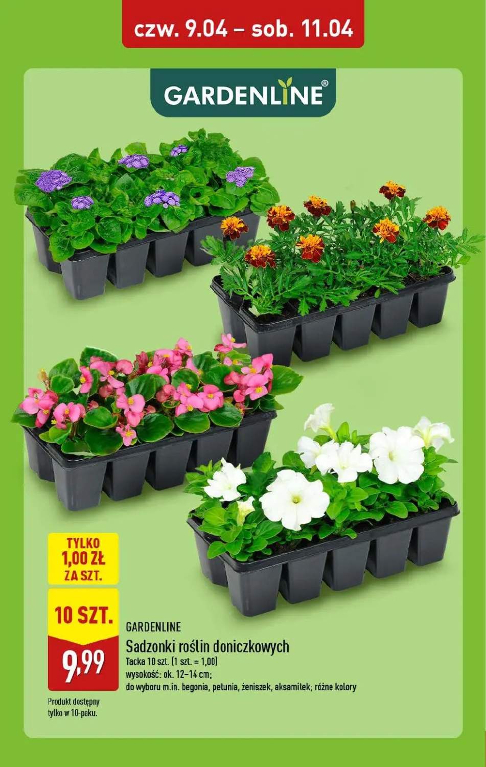 Gazetka – strona 8