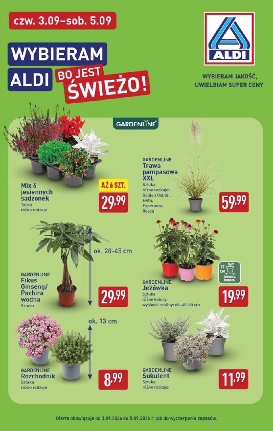 Gazetka – strona 39